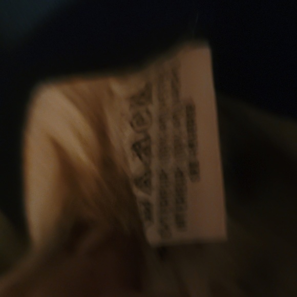 Goat - Picture 3 of 4